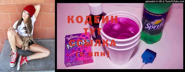 гидра Гусев