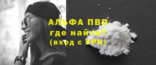 гидра Гусев