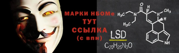 гидра Гусев