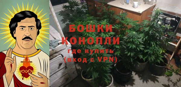 дурь Гусиноозёрск