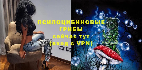 дурь Гусиноозёрск