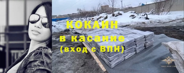 гидра Гусев