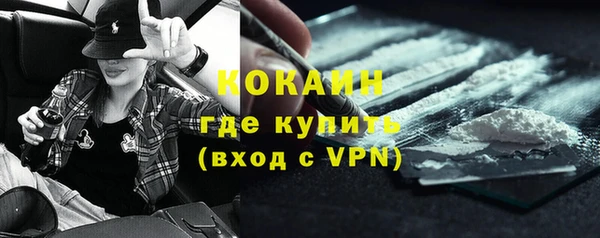 гидра Гусев