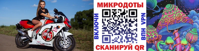 Псилоцибиновые грибы GOLDEN TEACHER Кстово
